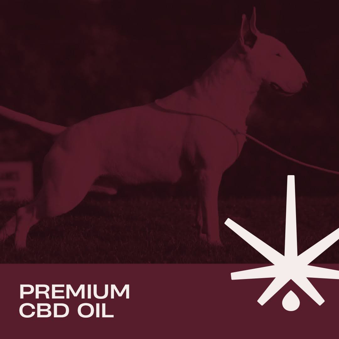 H30CBD 3% FULL SPECTRUM - para Mascotas