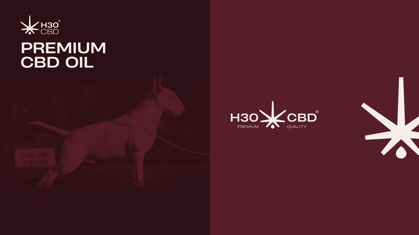 H30CBD 3% FULL SPECTRUM - para Mascotas