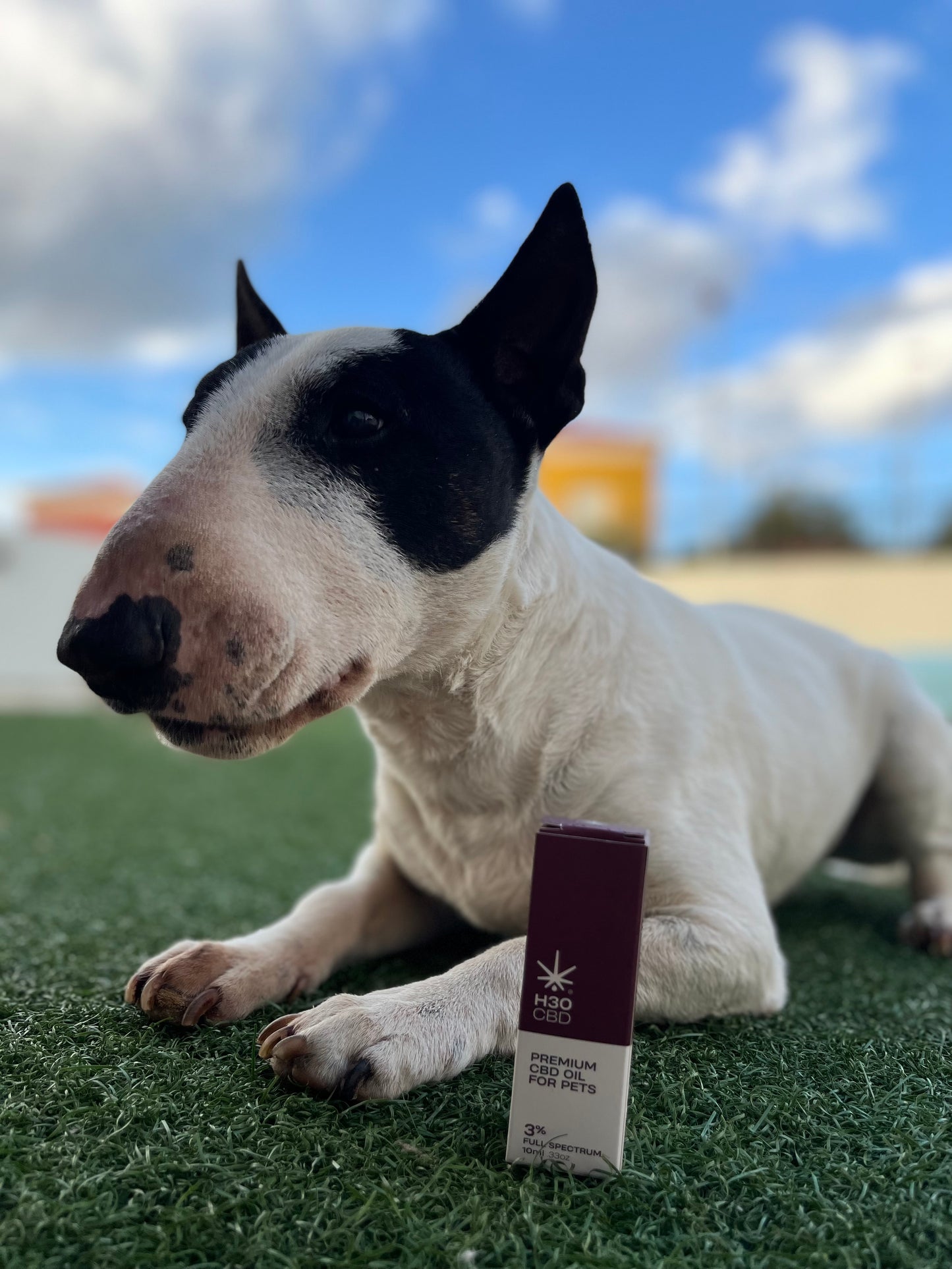 H30CBD 3% FULL SPECTRUM - para Mascotas