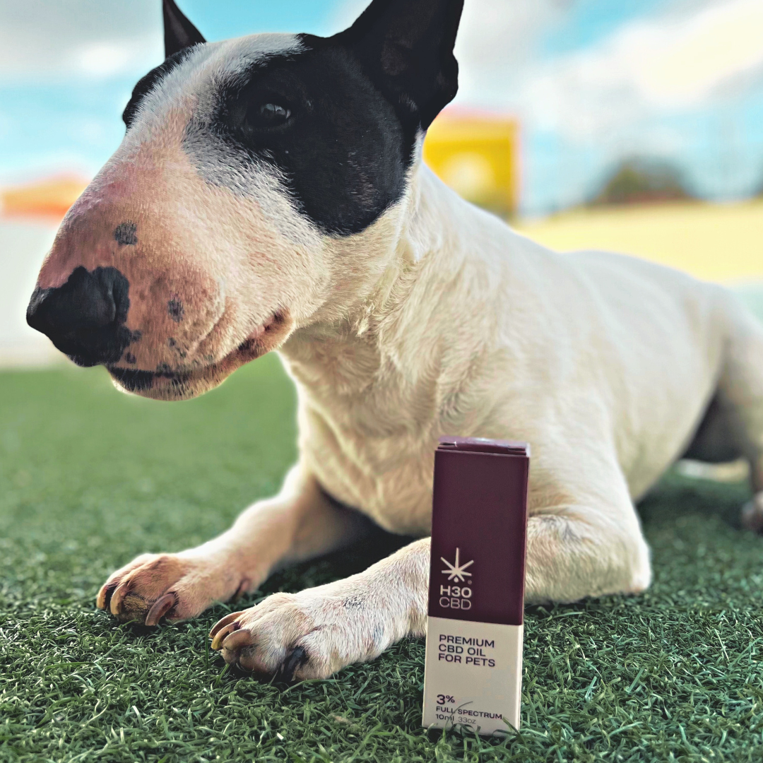 H30CBD 3% FULL SPECTRUM - para Mascotas