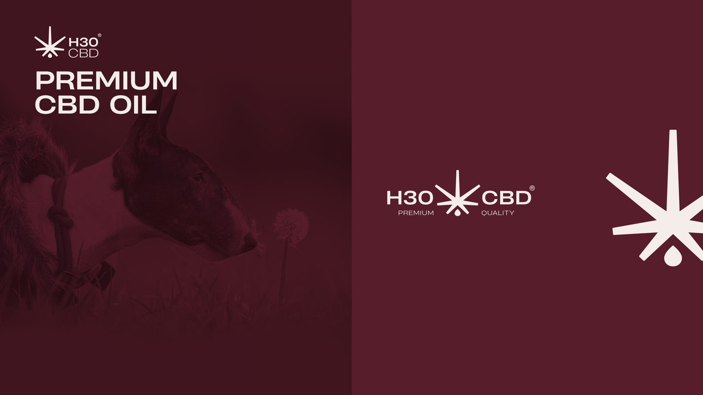 H30CBD 3% FULL SPECTRUM - para Mascotas