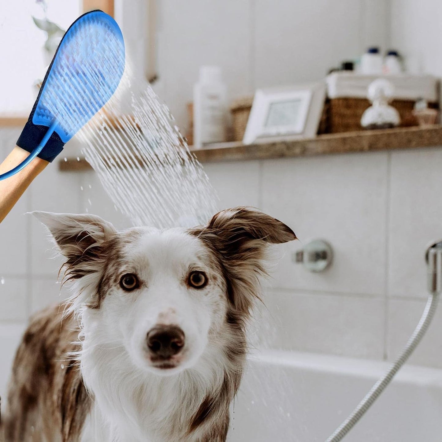 GUANTE DE LAVADO PARA MASCOTA